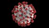 skynews-spike-protein-coronavirus_4983742.jpg