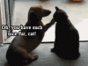 200.gif