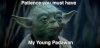 Image result for patience padawan