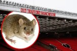 mouse-old-trafford.jpg mouse-old-trafford.jpg