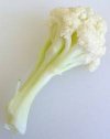 Cauliflower.jpg