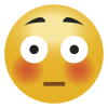 1dd9087d6e59053028c07574aff757d0-shock-surprised-emoji-emoticon.png