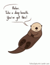 Otter Relax GIF - Otter Relax Confidence - Discover & Share GIFs.gif