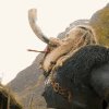 Viking GIFs - Find & Share on GIPHY