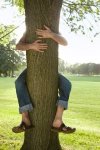 treehugger.jpg