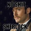 meme No-shit-sherlock_o_850672a.jpg