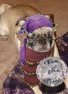 dc9e61a2ab39120479b14099172d635d--gypsy-fortune-teller-the-pug.jpg