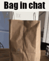 bag-paper-bag.gif