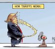Trump Tariff's     .jpg