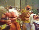 muppetwiki-muppet-wiki.gif