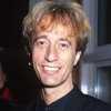 robin-gibb-20728001-1-402.jpg robin-gibb-20728001-1-402.jpg