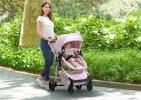 Stroller.webp