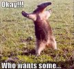 meme whowants some.jpg