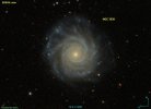 NGC_3938_SDSS.jpg