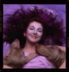 The Hounds of Love Album Cover