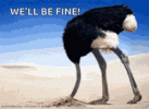 head-in-sand-ostrich.gif