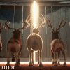 reindeer.gif