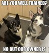 IMG_1573.jpeg