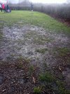Compress_20260117_104259_9961.jpg