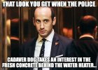 Miller Cadaver.jpg Miller Cadaver.jpg