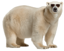 1768729506898.png