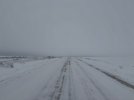 IMG_4697.jpeg