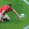 IMG_6993.gif