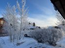 IMG_4708.jpeg