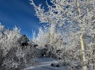 IMG_4709.jpeg