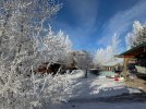 IMG_4711.jpeg