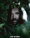 1000061107.gif