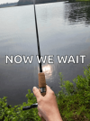 1769494884045.png