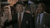 8606.gif