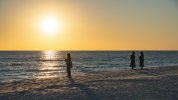 20260118 - Beach Druids.jpg