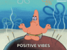 IMG_2982.gif