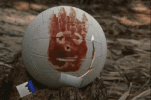 IMG_4030.gif