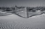 20260207 - Lines.jpg