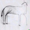 1770846907494.png