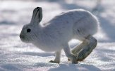 IMG_4863.jpeg
