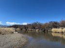 IMG_4884.jpeg