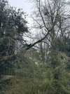 att.v5X17u0Mky40C5cGCKDltEnSz9s_zpA0bHzICBv5uFo.jpeg
