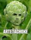 IMG_8555.jpeg