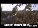 8491.gif