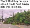 1000001446.jpg