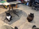 IMG_4796.jpeg