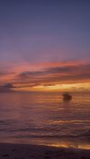 IMG_8462.jpeg