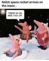 1775290112949.png
