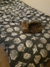 20180605_215637.jpg