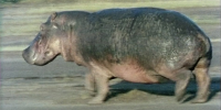 1775753371556.png