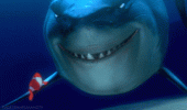 IMG_0531.gif